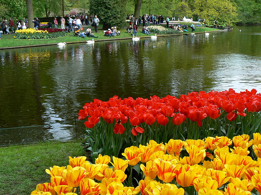  Keukenhof Tulip Gardens